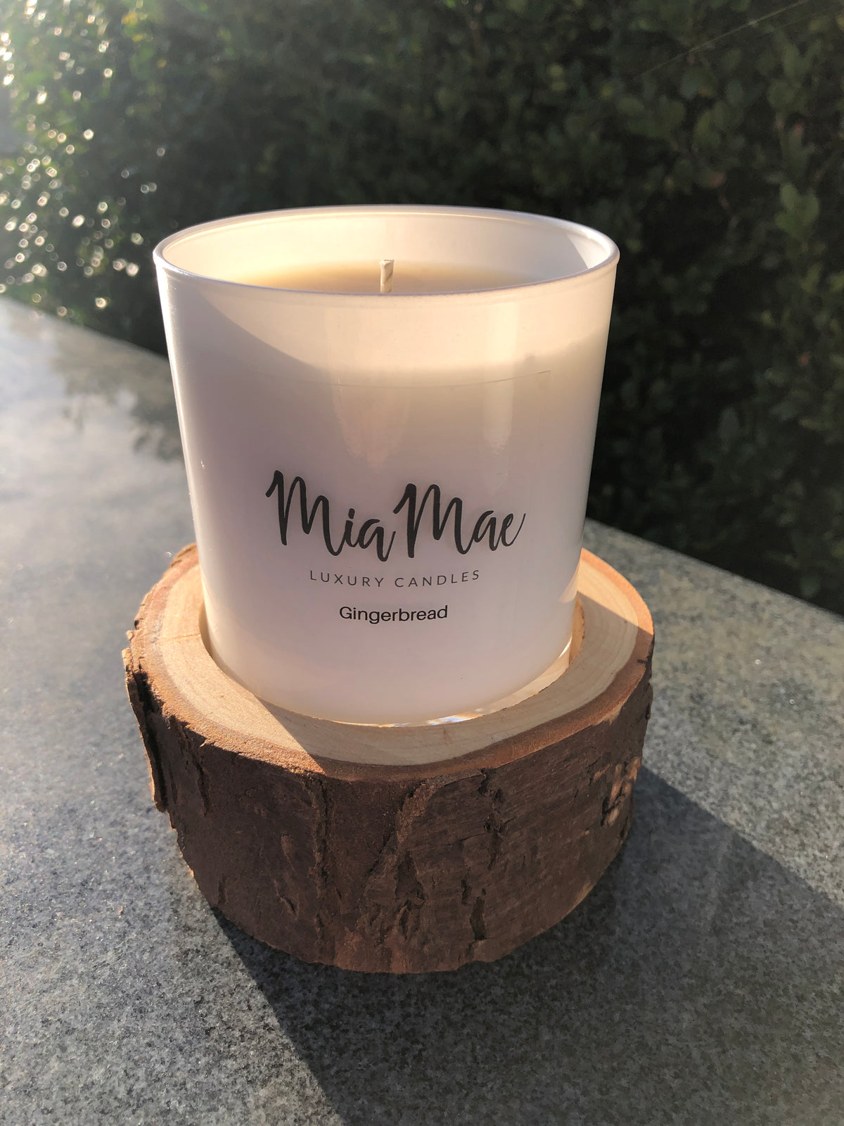 Gingerbread Soy Wax Candle