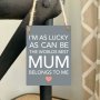 WORLDS BEST MUM MINI METAL SIGN