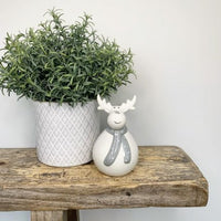Plump Grey Scarf Reindeer.