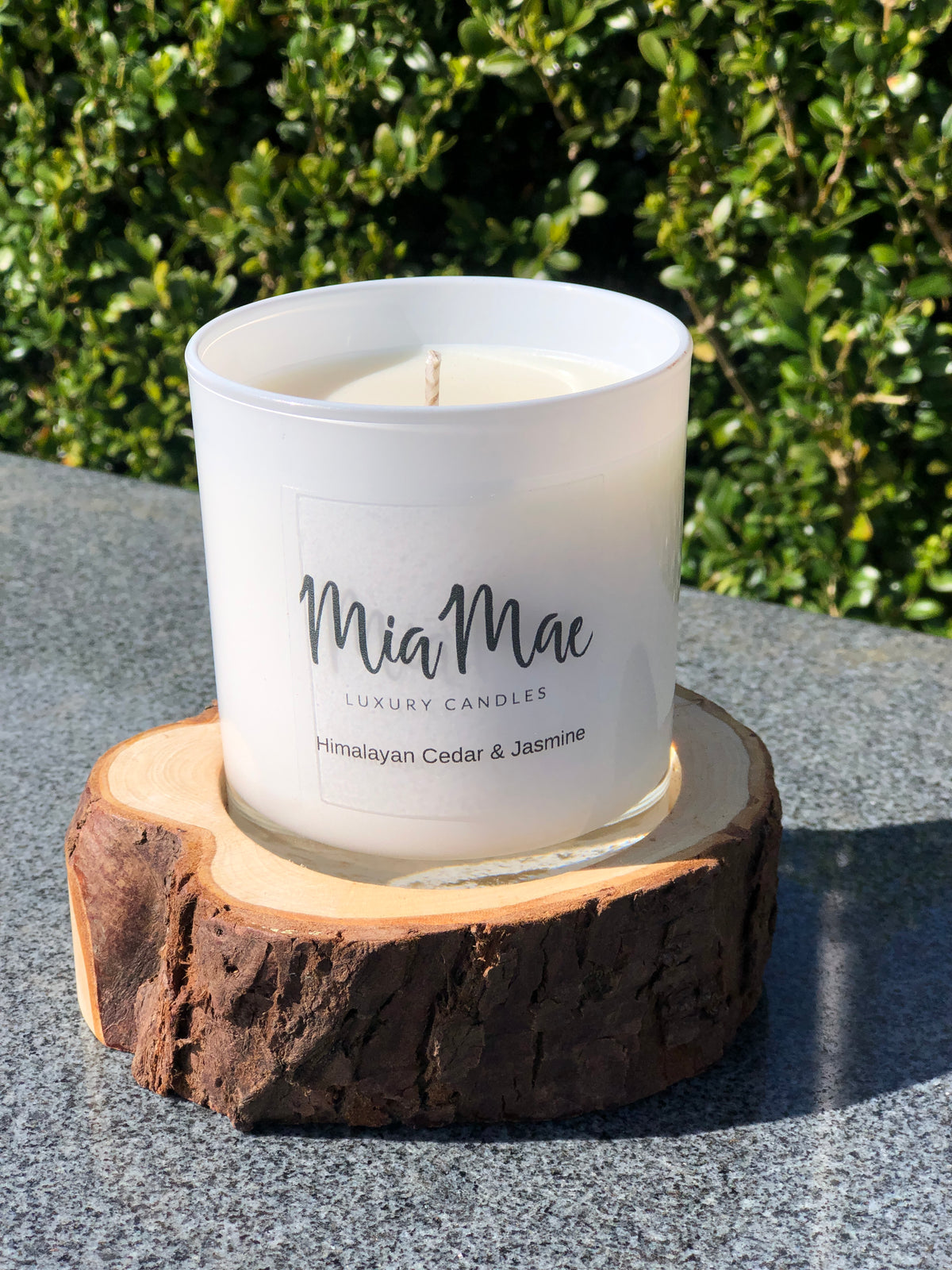 Himalayan Cedar & Jasmine Soy Wax Candle